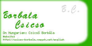 borbala csicso business card