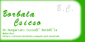 borbala csicso business card